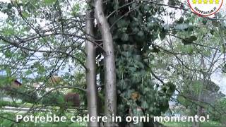 preview picture of video 'Parco ai caduti - Occhieppo Inferiore'