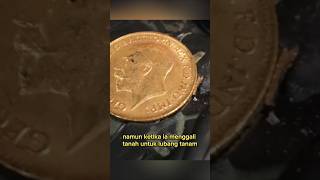 Download lagu LANGSUNG KAYA RAYA !!! SEORANG PETANI MENEMUKAN HARTA KARUN KOTAK BERISI EMAS mp3