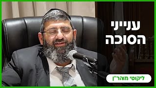 הרב אייל עמרמי - לקוטי מוהר"ן א אלול תשפ"ד (הרב אייל עמרמי) - התמונה מוצגת ישירות מתוך אתר האינטרנט יוטיוב. זכויות היוצרים בתמונה שייכות ליוצרה. קישור קרדיט למקור התוכן נמצא בתוך דף הסרטון
