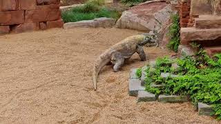 BioPark Fuengirola, Spain Best Zoo Ever !!!