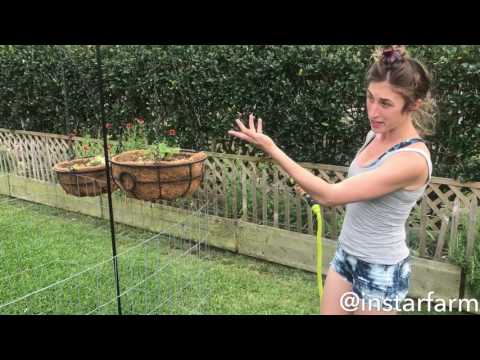 User submitted video