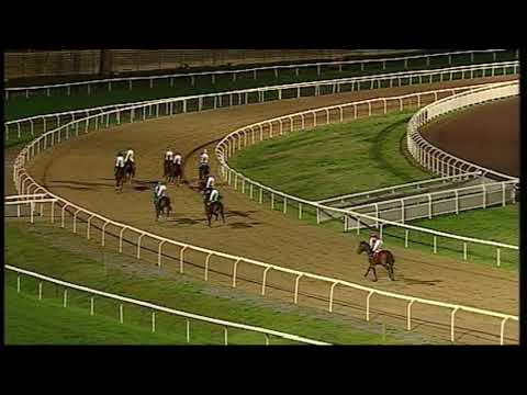 rm 20191122 06 p fouquettris