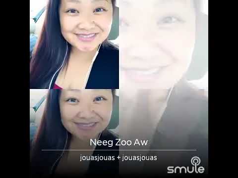 Neeg Zoo Aw (Dib Xwb Cover)