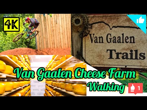 Van Gaalen Cheese Farm Walking | 4K | #cheese #vangaalen #hartbeespoort @journey_life582