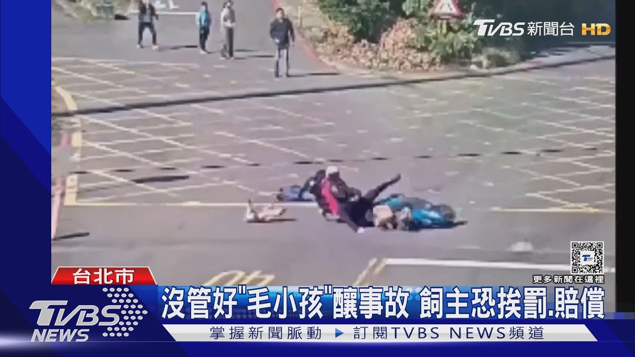 出去玩囉!毛孩掙脫繫繩闖馬路 撞翻情侶