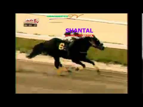 LA RINCONADA 9 CARRERA, SABADO 04 DE ABRIL DEL 2015