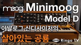 [링고TV] 로버트! 밥무긋나? Minimoog model D 기묘한 리뷰