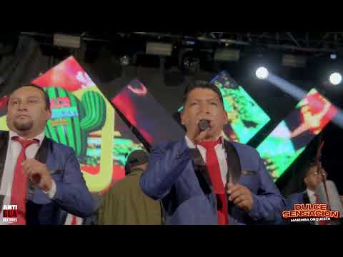 Eva María - Marimba Orchestra Sweet Sensation