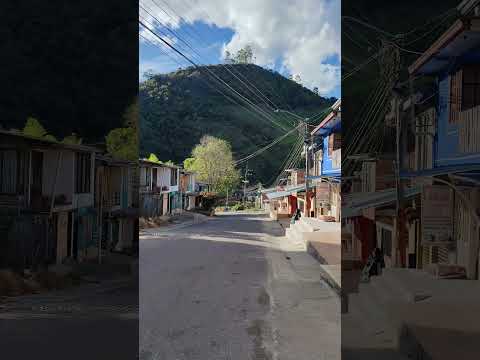 ROSAS CAUCA