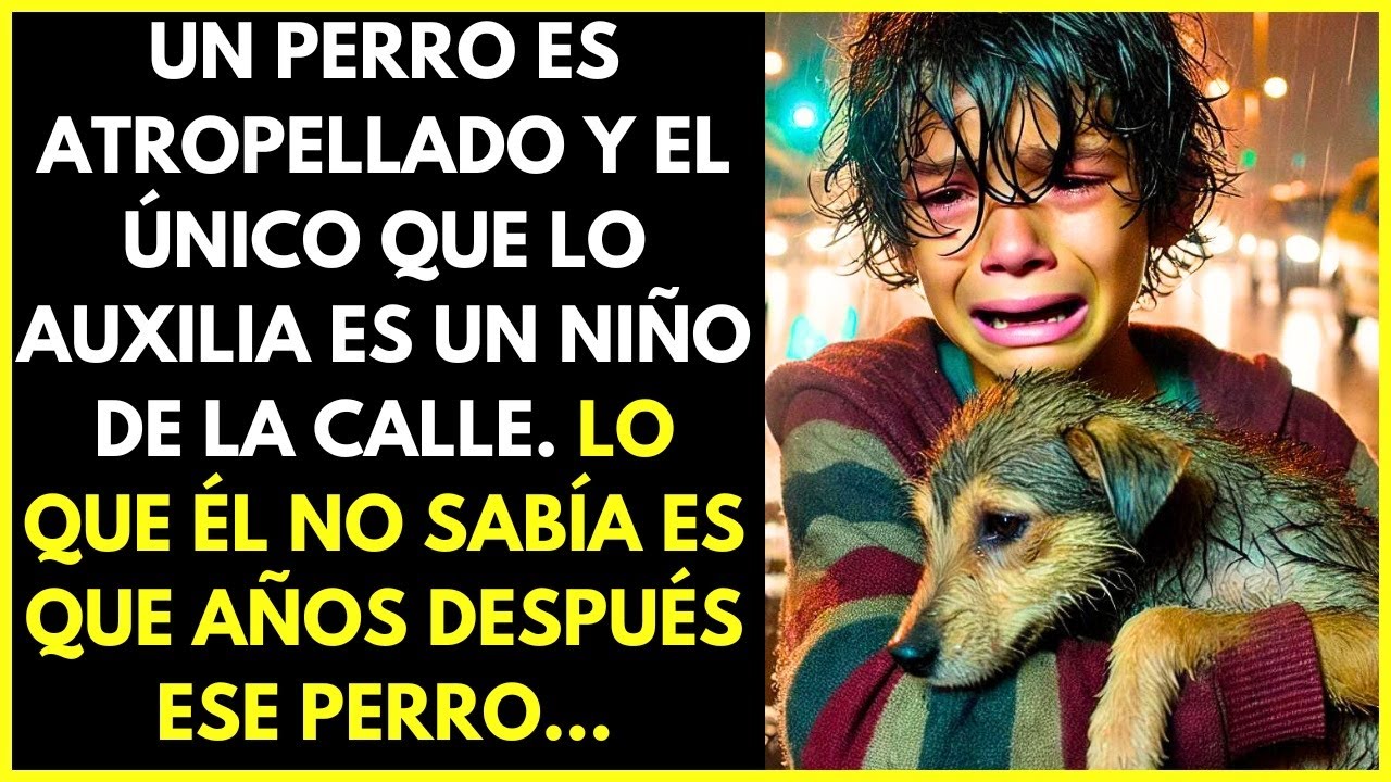 Perro es atropellado y el único que lo auxilia es un niño de la calle. Lo que él no sabía es que...