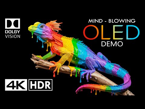 MIND-BLOWING OLED Dolby Vision 4K HDR 60fps (4K Video)