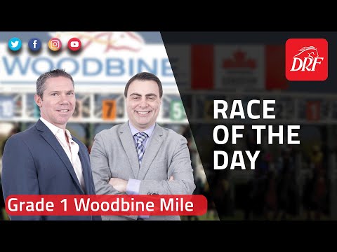 DRF Saturday Race of the Day | Grade 1 Woodbine Mile Preview 2022