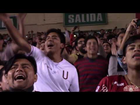 "Universitario 2 vs Binacional 0 . Liga 1 Torneo Clausura 2019" Barra: Trinchera Norte • Club: Universitario de Deportes