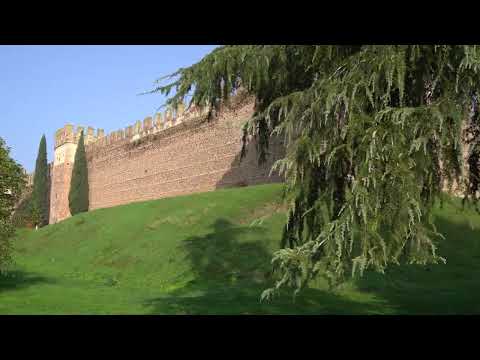 Il Sentiero dei Campioni | Villafranca di Verona