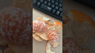 今日みかん2個食べちゃった🍊