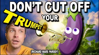 DON'T CUT OFF YOUR 🍆 Richard Marx Parody 🎺🫨