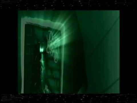 BLUDZBRÜDER Das Video