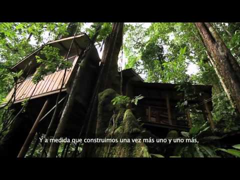 FBV Documentary (w/ Spanish Subtitles) in Progress by Matt Rath