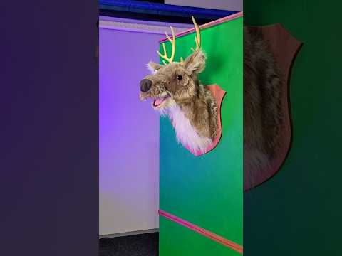 Possessed Taxidermy Deer Head!!! Puppet for a show called Mackers the Elf #puppets #zombie #theater
