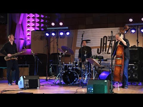 Arild Andersen Trio live @ Timisoara Jazz Fest 2017