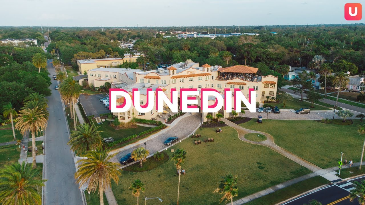 Where to Avoid Spring Breakers in Tampa Bay 5+ Things to Do