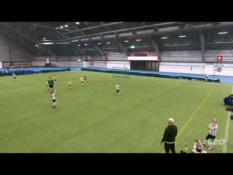 TPS T2016 T2017 vs Ilves Keltainen
