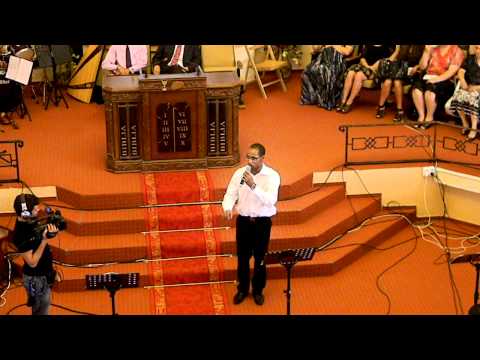 Andrei Tibrea - Sunt calator in aceasta lume