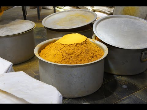 園芸 ピンクターメリック、インドサフラン、タイチューリップ