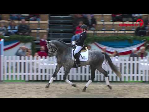 Holsteiner Körung & Elite-Reitpferdeauktion | Impressionen | 2016