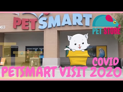 PetSmart Visit | PetSmart adoption event | Trip to PetSmart