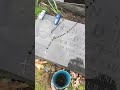 Visiting Ryan Dunn’s Grave And I Left Behind A 1981 Camaro For Him