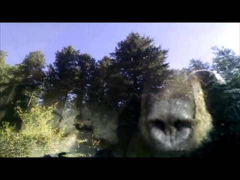 youtube embeded image