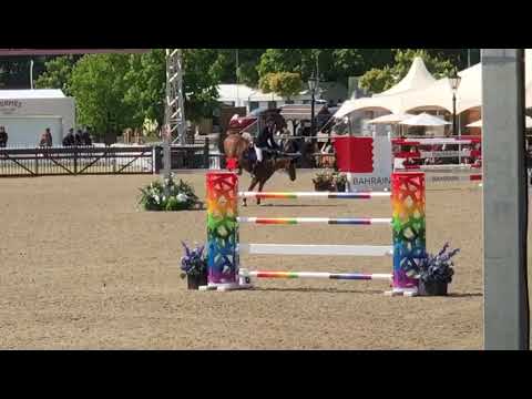 CSI5* Windsor - Kevin Staut & For Joy van't Zorgvliet*HDC - Barrage 1.55m - 2019