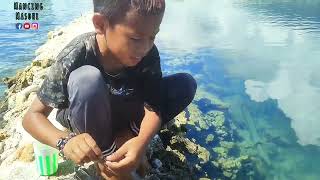 Download lagu Mirip Aquarium Di Belakang Rumah Ikan Banyak Tinggal Mancing mp3