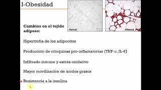 Teórico Síndrome Metabólico - Digestivo, Renal y Endócrino