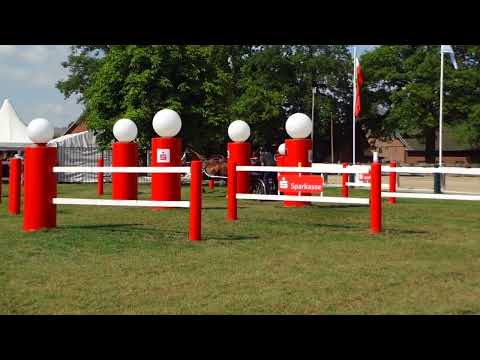 Fahrturnier Ostenfelde 21.8.2022