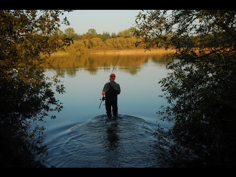 Matze Koch: Karpfen am schwierigen See - Matzes Mätzchen 03-2012
