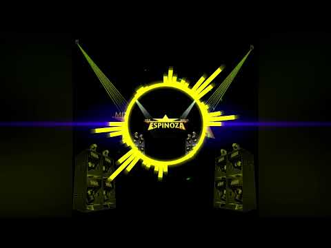 CUMBIA MUERO POR VERLA (INTRO VOCAL)🦁