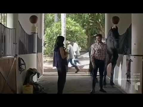 Diego de Tovar. Señora Acero 5ta temporada