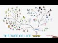 Pokemon The Evolution Tree Part I Continuation Of The Legendary Family Tree