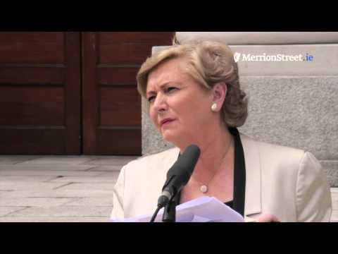 Minister Frances Fitzgerald Press Conference on the Guerin Report