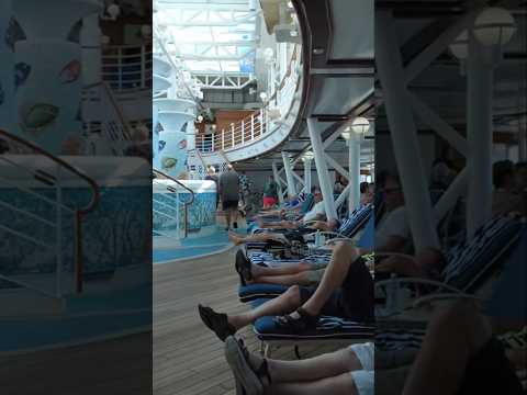 Thumbnail for Diamond Princess Cruises - 2 Thursday 12 December 2024 #4kwalk #princesscruise #australia