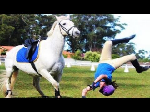 TRY NOT TO LAUGH ★ Funny People Fail in Horse Riding Challenge || Funny Babies and Pets