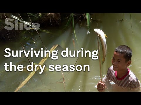 The people living at the rhythm of the lake | SLICE