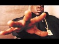 Notorious B.I.G. - I Really Want To Show You