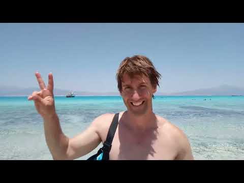 Dáma s hranostajem - Sweet lady Jane