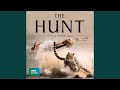 The Lions Theme