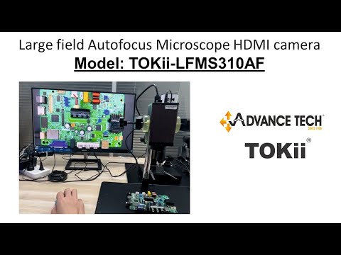 TOKii-LFMS310AF