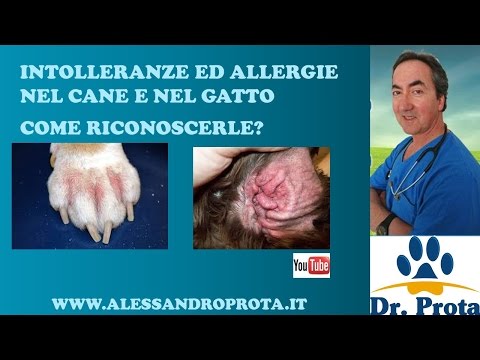 Movalisa a psoriasi Aloe da psoriasi principale