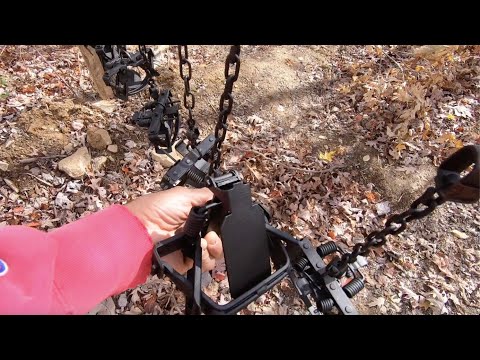 Predator Trapping in PA 2025-26 Pre-Season 3 #coyotetrapping #foxtrapping #bobcattrapping